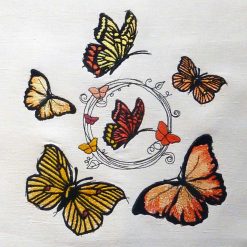 Butterflies show their colors