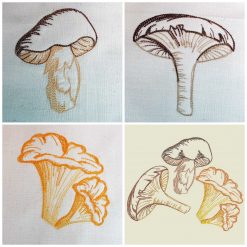 Boletus, chanterelle and chameleon